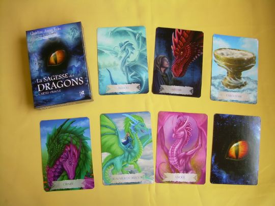 La Sagesse Des Dragons