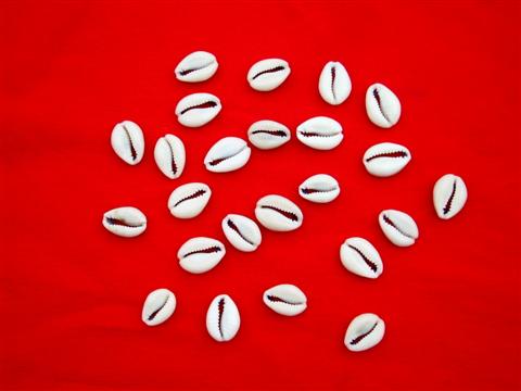Divination by Cowries, these little African shells 
have been used for millennia to predict the 
future, to make the right decisions in all 
situations.